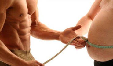 músculo vs grasa